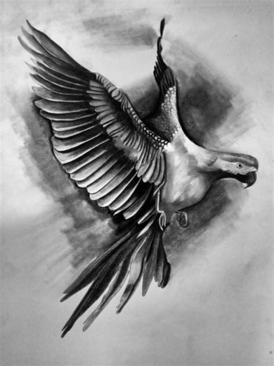 Realistic Flying Parrot Drawing✏️ | Hyper Realistic Bird Art Step by Step🕊️🔥#shorts #yt short #short