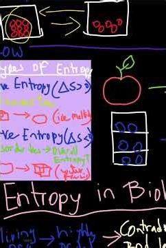 Entropy Explained #chemistry #science