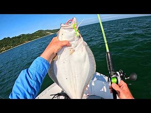 A Hard-Earned Fluke Limit + Underwater Views With Canfish Fishing CamX