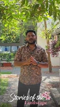 Best Grasses for Landscaping in Kerala 🌿 | Lawn Grass Types Explained