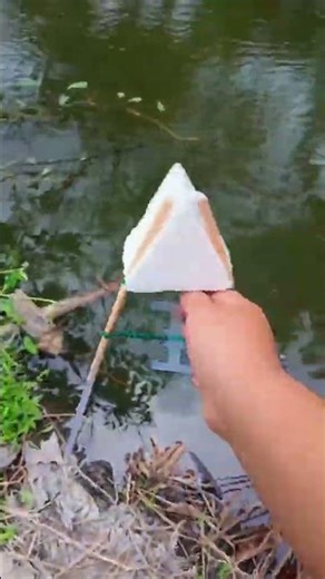 3 cộng là cỡ này, 5 công không biết cỡ nào #ghengo2026