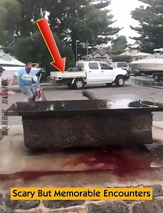 49K views · 180 reactions | Scary But Memorable Encounters | Barbie Blank | Facebook