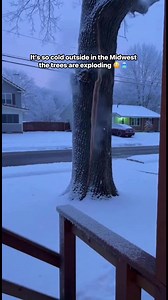1.2M views · 8.7K reactions | Have you ever seen a tree explode like this before #coldweather #trees #winter #snowstorm #nature | Real Life Caught | Facebook