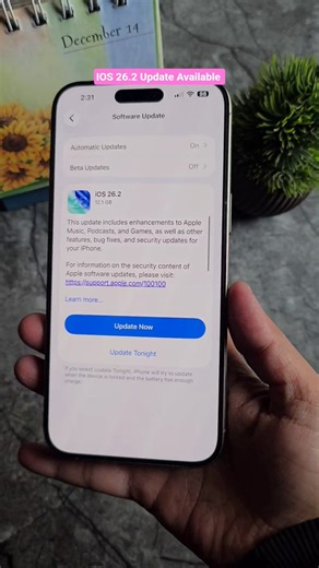 iPhone New Update 26.2 😱 Update Se Pehle Ye Settings Check Karo #iphone #softwareupdate #apple