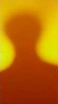 நீ வரவே கலவரமே / Nee Varave Kalavarame Rajinikanth Mass Song #thalaivar173 #fanmade