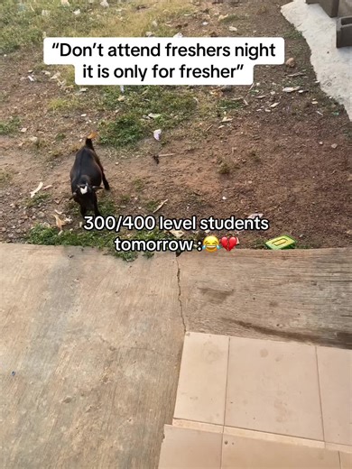 Freshers Night at Olabisi Onabanjo University Highlights