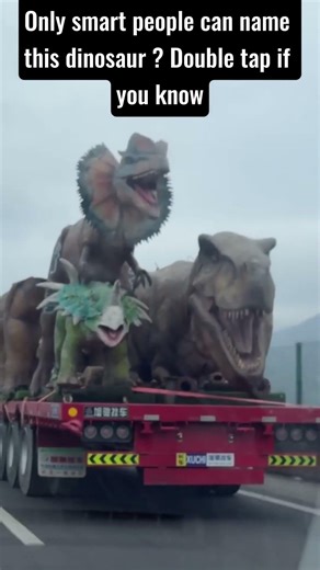 Only smart people can name this dinosaur ? #trending #animallife #nature #dinosaur #dinosaurs #wild