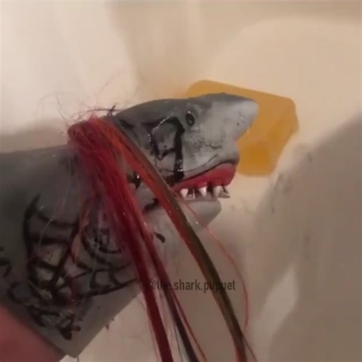 Funny Shark Puppet Compilation