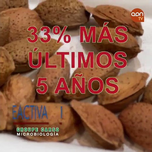 España prevé una de las mayores cosechas de almendra de los últimos años #noticias #adntv #almendras