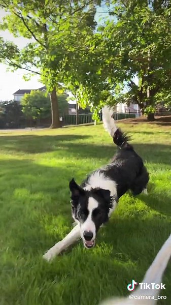 Fast Creative Photography with Oppo A18 - Furry Fritz