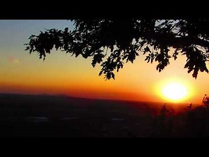 Rooj Mov So Haujlwm by Txawj Pes Vaj