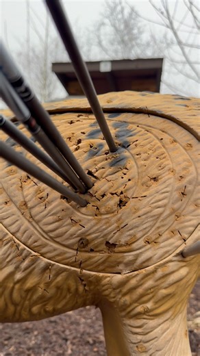 Ever done a 3D speed run? #archery #3d #practice