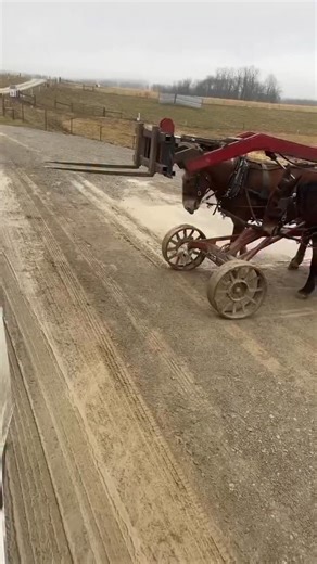 Horselift operator 😎 #trucking #cdl | Trucker Pax