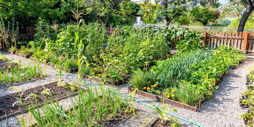 Here's How to Use the USDA's Plant Hardiness Zone Map