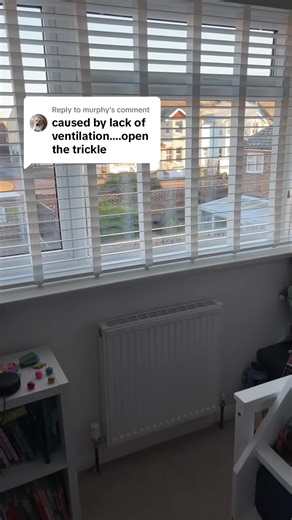 Effective Dehumidifiers for Reducing Condensation