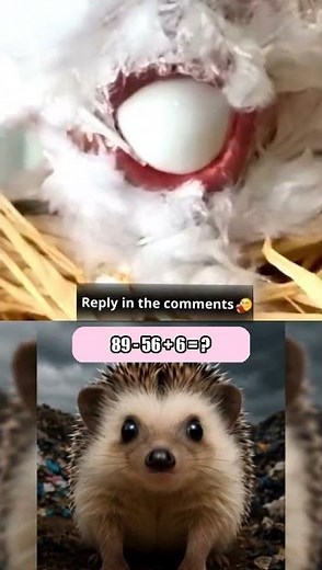 human laying egg #shortsfeed