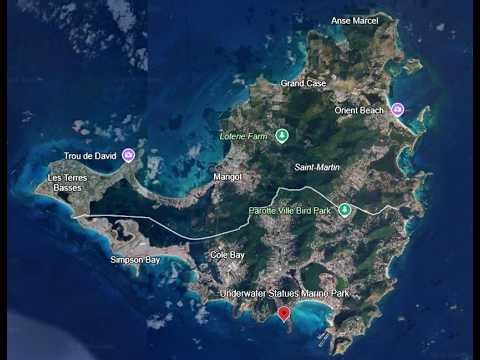 Spotted Filefish Sint Maarten