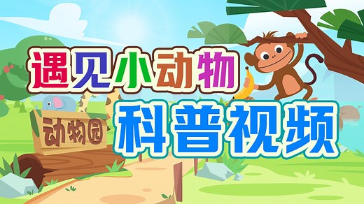 【英文科普动画】全23集《Meet the Animals》动物奇观 小学 低幼 科普