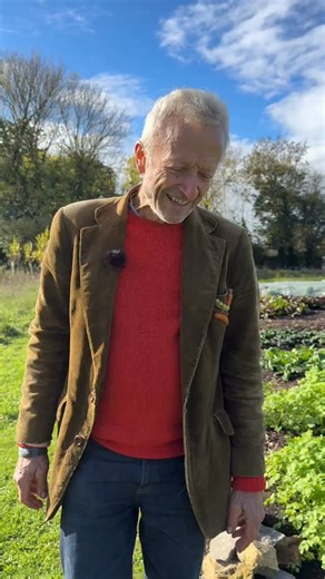 11K views · 361 reactions | Ten weeks in the ground, a second planting after carrots. The kohlrabi is Kolibri F1, the cabbage is Golden Acre, and they had a mesh cover for the first six weeks #nodig | Charles Dowding No Dig Gardening | Facebook