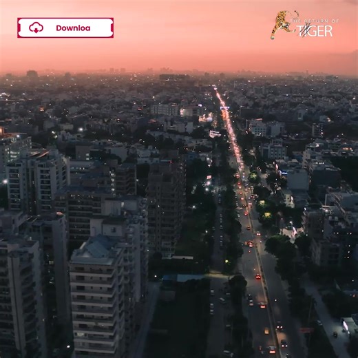 The Return of Tiger | Pocket FM Part 6 | Pocket TV