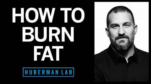 How to Lose Fat with Science-Based Tools
