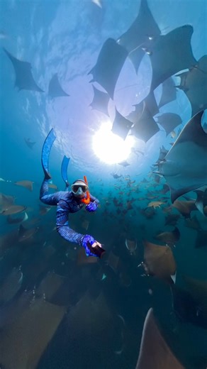 Capture your best diving shot and WIN BIG 🌊 Post your clearest water shots with #Insta360 and #Insta360diving to win some serious cash prizes! Check out the details below 👇 🏆: 5 lucky winners 💵: US$300 cash prize Make sure to include: 1️⃣ Epic footage 2️⃣ Behind-the-scenes (BTS) content 3️⃣ Camera settings details 4️⃣ Use #Insta360 and #Insta360diving 📸 @nadia.aly.photo with #Insta360X4 | Insta360