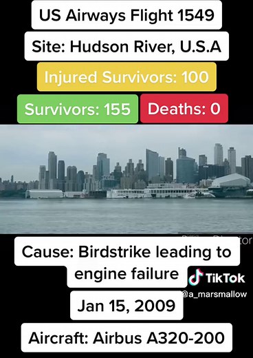 US Airways Flight 1549 Incident Overview