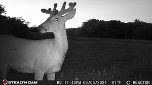 ▪️Videos and images sent straight to the Command Pro App! ▪️You can access the app on a computer or on a smart phone. | Stealth Cam