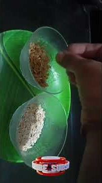 Roasted Oats vs. Normal Oats: What’s the Difference? | Health Benefits & Quick Tips 🥣