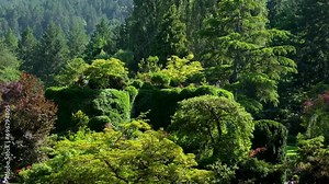 The famous gardens of Butchert on Victoria Island. Canada. The Butchart Gardens