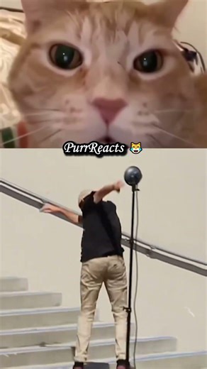 BEST LANDING EVER 💀 #shorts #skateboarding #funnyfails