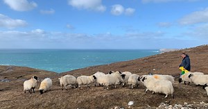 Crofting in the Outer Hebrides