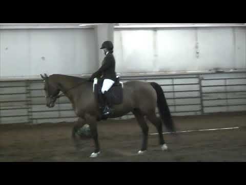 Working Equitation Dressage Level 1/Introductory