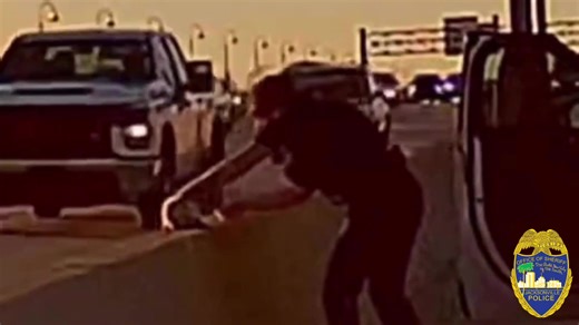 9.3K views · 96 reactions | After being alerted to a cat on the Fuller Warren Bridge along busy I-95 in Jacksonville, Patrol Officer J. Crawford wasted no time. She was able to quickly get it off the median and to a local shelter, where the cat was adopted the next day. His new family named him FULLER to commemorate the place he was saved. Courtesy: Jacksonville Sheriff's Office /TMX | Spectrum Bay News 9 | Facebook