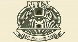 FOIA Request Shows FBI Adding Non-Prohibited Buyers to NICS Preventing Gun Purchases