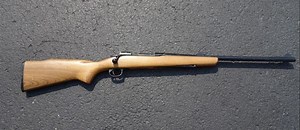 Finally got a Crosman model 70 Pellgun!