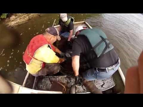 Catfish Charlie's - Commercial Fishing on the Mighty Mississippi