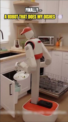 The Dishwashing Robot That Will Change Your Life