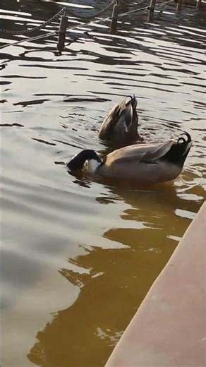 wada raha pyar se pyar ka