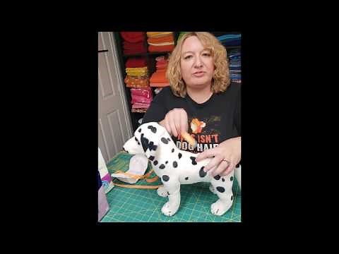 Dog Belly Band basics