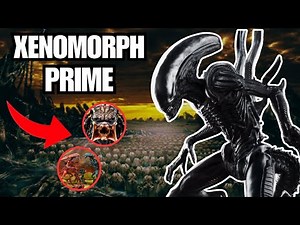 Alienek Otthona 👽 | Xenomorph Prime ⚫
