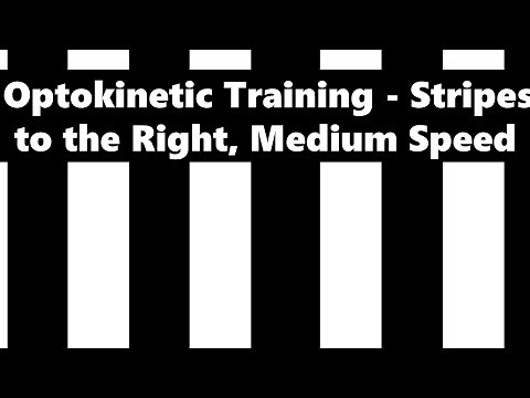 Optokinetic Training | Stripes to the right, medium speed