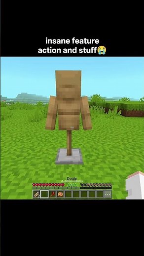 Minecraft Actions & Stuff Custom Nametags