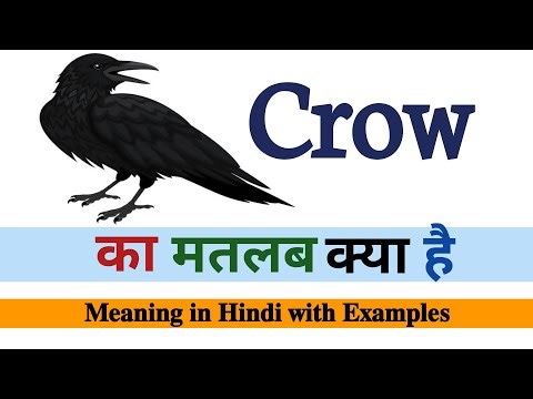 Crow meaning in Hindi || Crow ka matalab kya hota hai || Learn English vocabulary