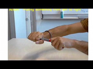 ECO: Efficient Convolutional Network for Online Video Understanding - ECCV 2018