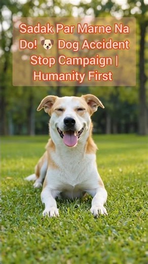 Viral karo Viral karo💯! 🐶 Dog Accident Stop Campaign | #shorts #humanity #pets #bsvlogs_516