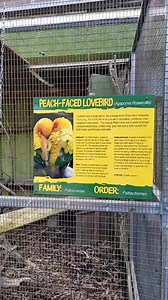 24K views · 1.4K reactions | Safari Niagara, a 150-acre, privately-owned and operated nature park, is home to more than 1000 animals of native and exotic mammals, reptiles and birds. | Colors In Canada | Facebook