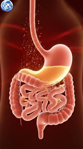 21 Weeks Pregnant: Why Does Baby Swallow Amniotic Fluid?
