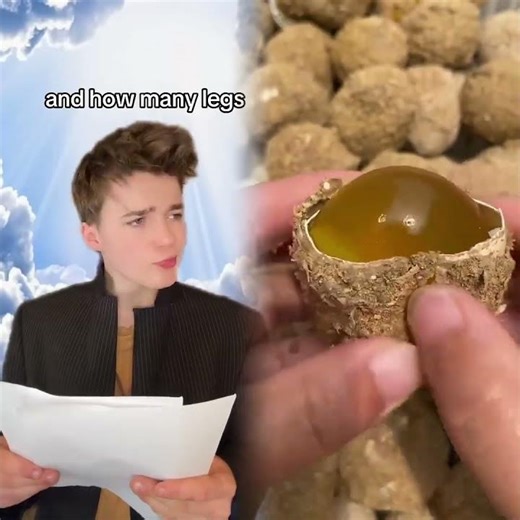 God creating animals 😂.