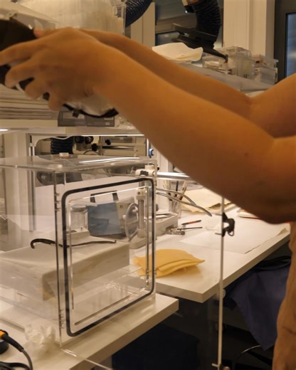 Historisk museum on Reels